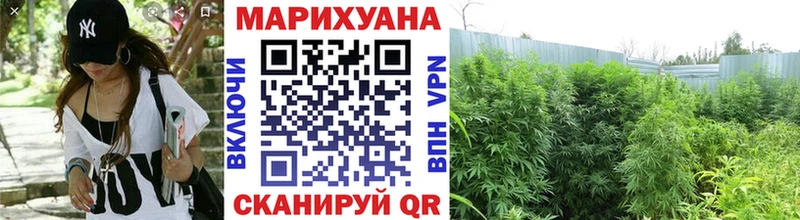 Наркота Жирновск Галлюциногенные грибы  МАРИХУАНА  Меф мяу мяу  ГАШИШ 