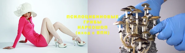 круглые Алексеевка