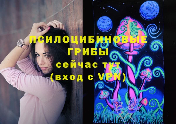 героин Алексин
