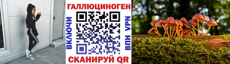 Псилоцибиновые грибы Psilocybine cubensis  Жирновск 
